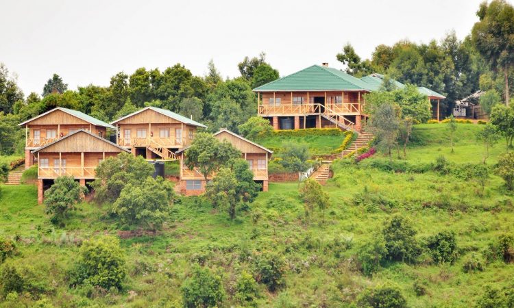 A budget lodge in Uganda, perfect for cheap wildlife safaris