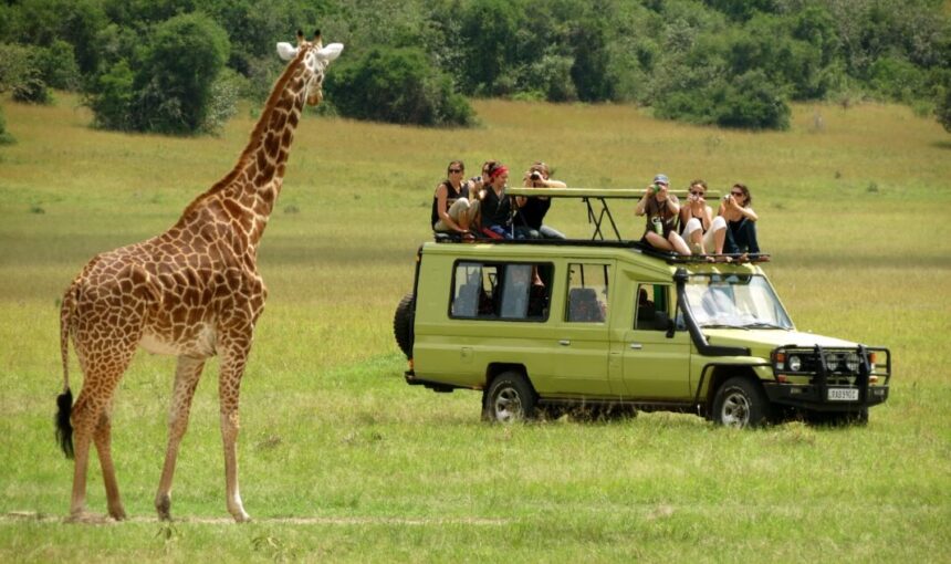 Cheap Wildlife Safaris in Uganda: Affordable Adventure Tours (2026/2027 Guide) 4 Cheap Wildlife Safaris in Uganda: Affordable Adventure Tours (2026/2027 Guide)