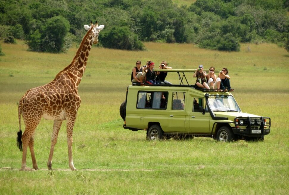 A shared safari vehicle on cheap wildlife safaris in Uganda, offering affordable wildlife viewing