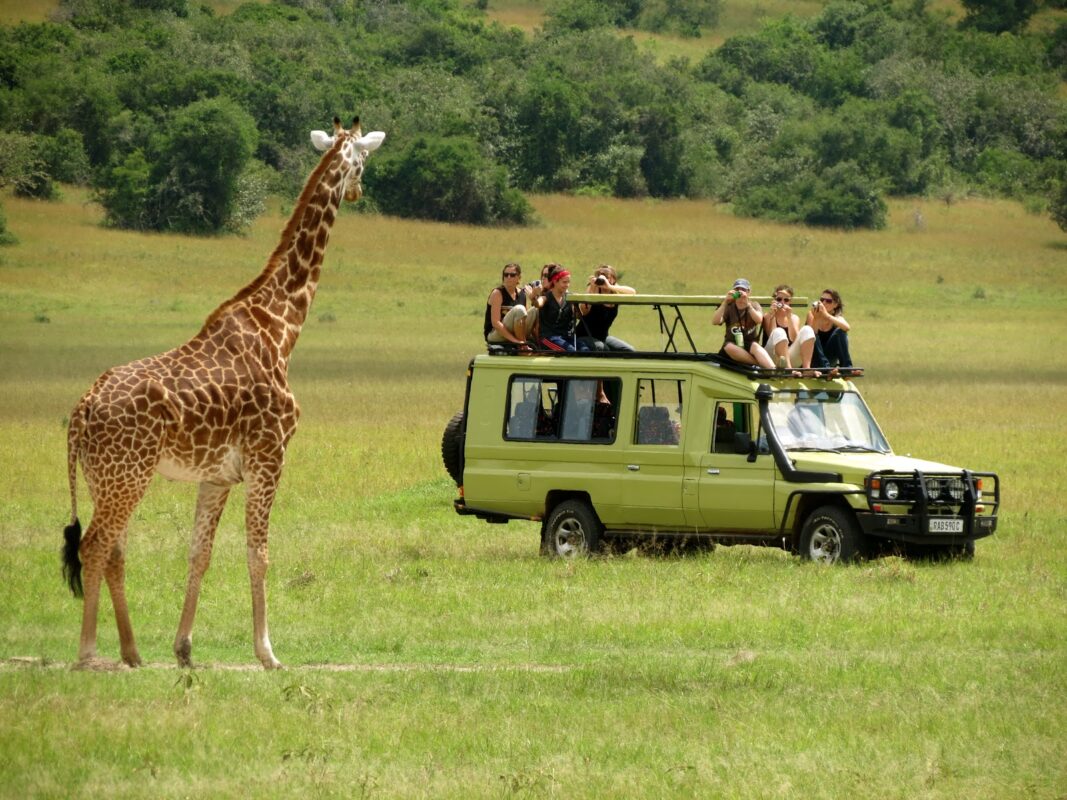 A shared safari vehicle on cheap wildlife safaris in Uganda, offering affordable wildlife viewing