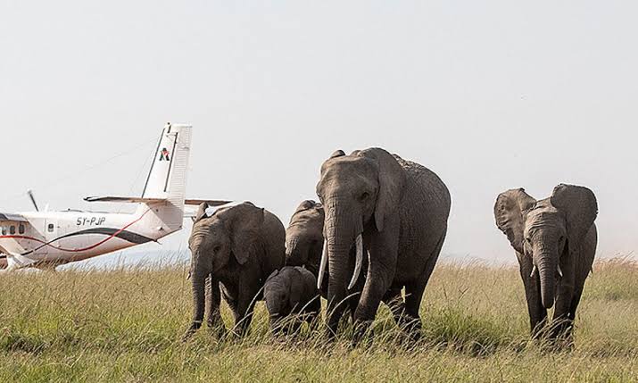 A scenic flight on a fly-in safari Masai Mara Bwindi connecting Kenya and Uganda