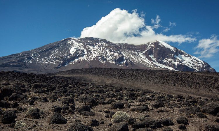 Mount Kilimanjaro on a gorilla trekking Kilimanjaro climb combination package