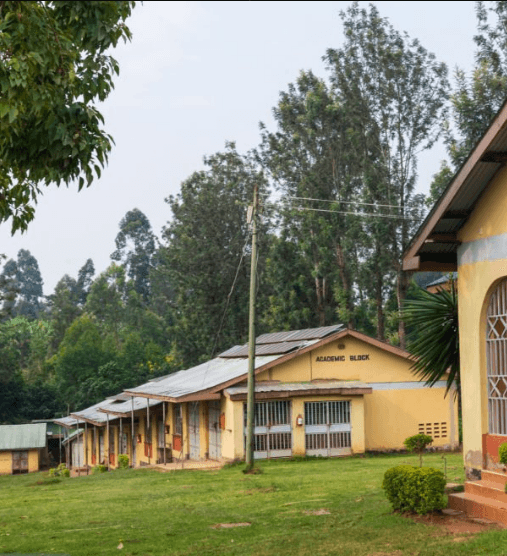 A budget lodge in Uganda, showing how to travel Uganda on a budget