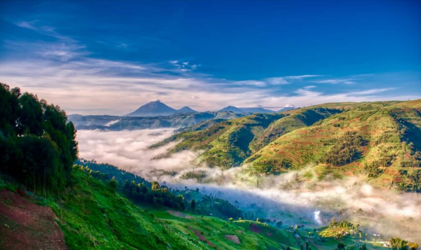 How to Travel Uganda on a Budget: Affordable Safari & Gorilla Trekking Tips (2026/2027 Guide) 1 How to Travel Uganda on a Budget: Affordable Safari & Gorilla Trekking Tips (2026/2027 Guide)