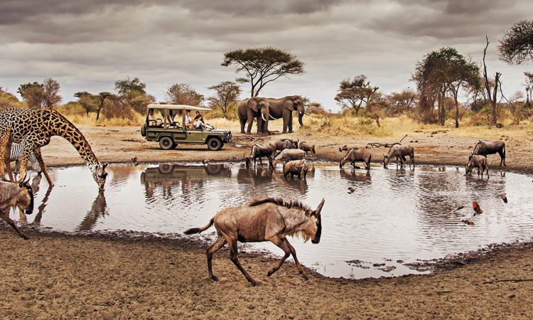 A multi-country luxury safari across Kenya, Tanzania and Uganda