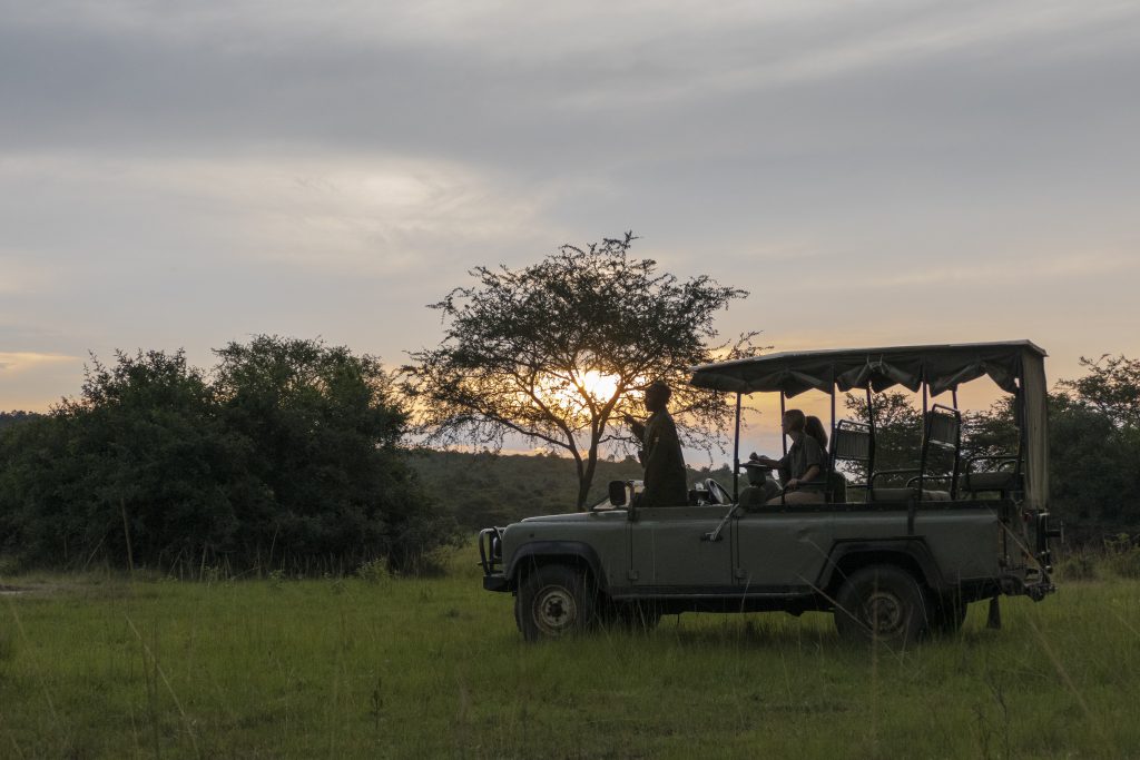 A shared game drive on a low budget safari Kampala in Uganda