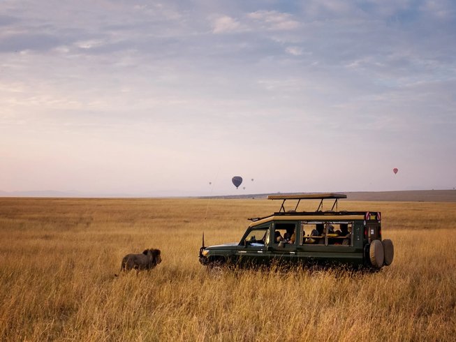 A private game drive in the Masai Mara on a luxury private jet East Africa safari