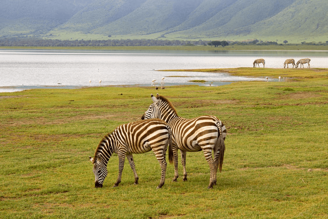 The Ngorongoro Crater on an ultimate East Africa safari