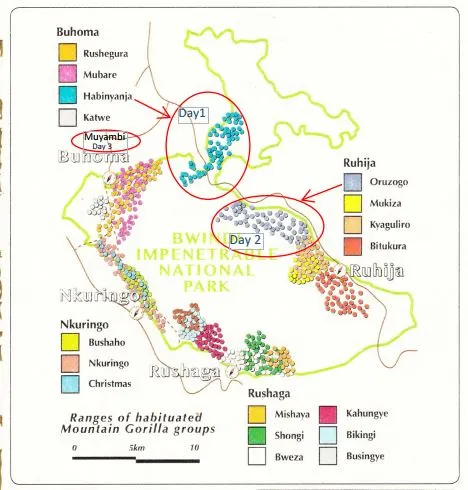 Map showing the Bitukura family's home range within Ruhija sector, Bwindi