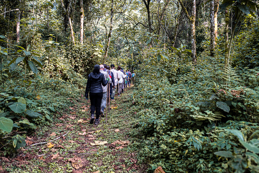 First-time trekkers at the Bwindi morning briefing