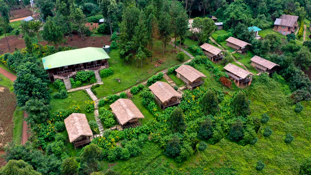 Lodge in Bwindi prepared for guests returning from gorilla trekking in the rain