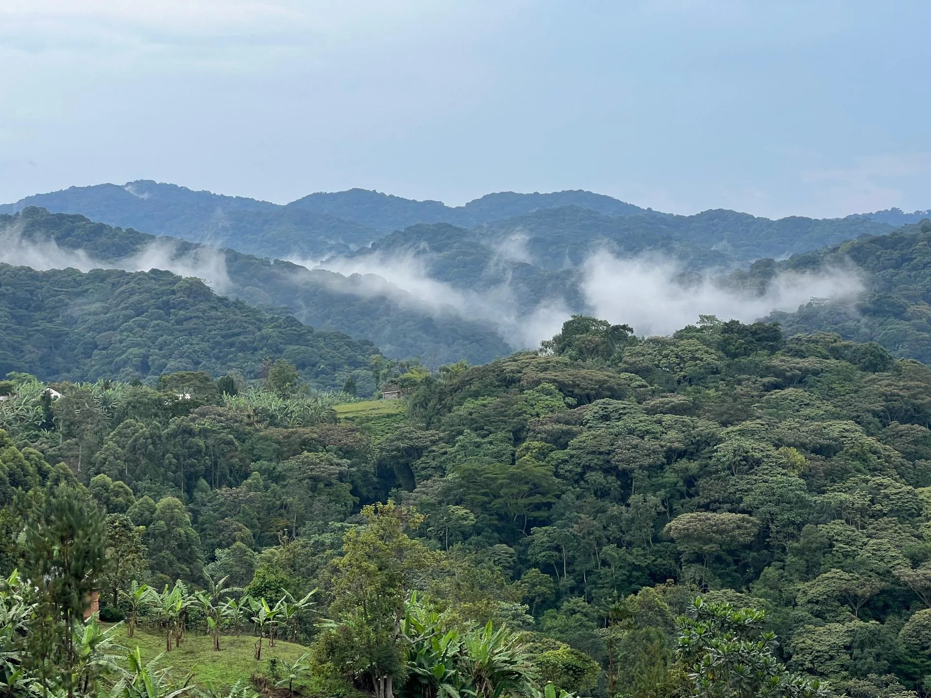 Decision matrix comparing Bwindi sectors on dates, group size and fitness