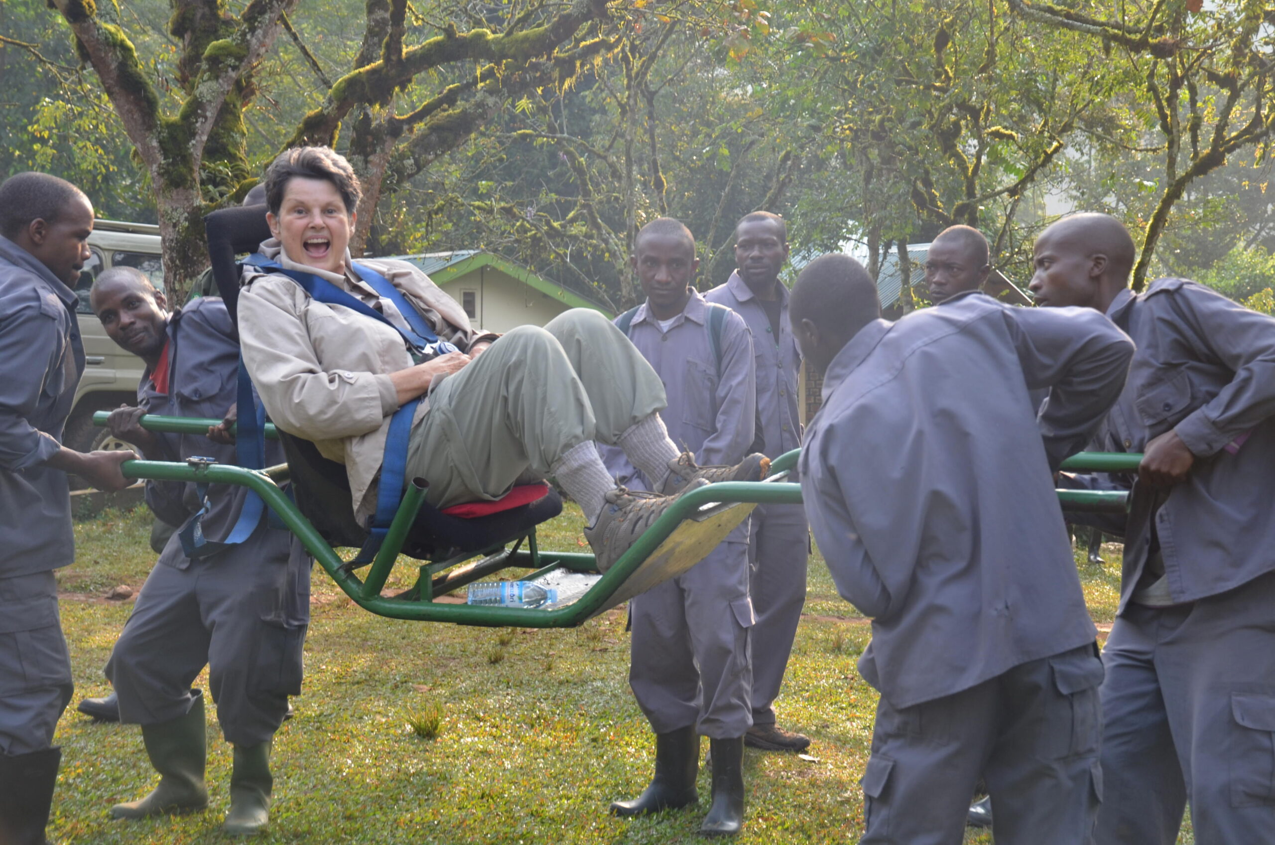 Sedan chair team assisting a trekker on the descent in Bwindi