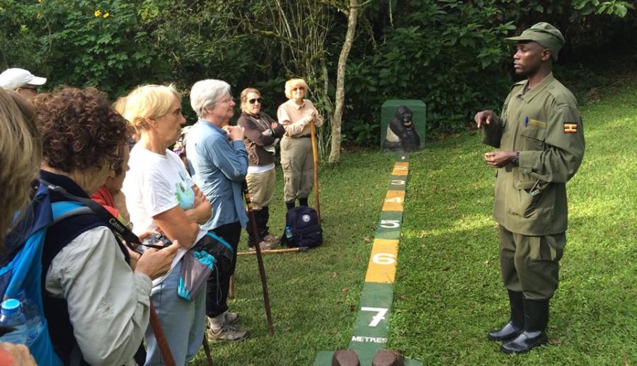 What Happens on a Gorilla Trekking Day: An Honest Walkthrough 4 Trekkers registering at the Bwindi trailhead before the morning briefing