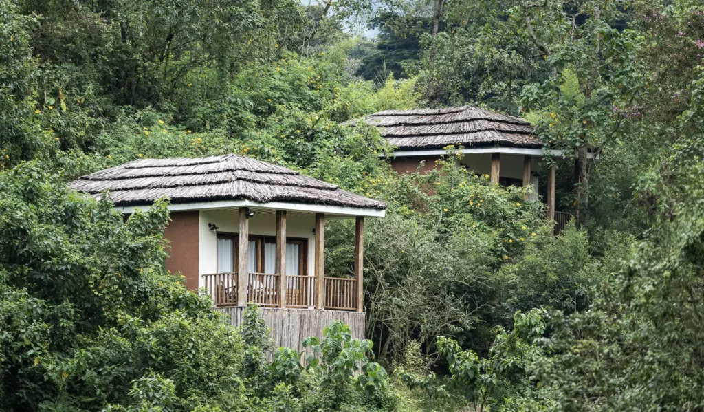 Trekker resting at a lodge between two consecutive gorilla trekking days