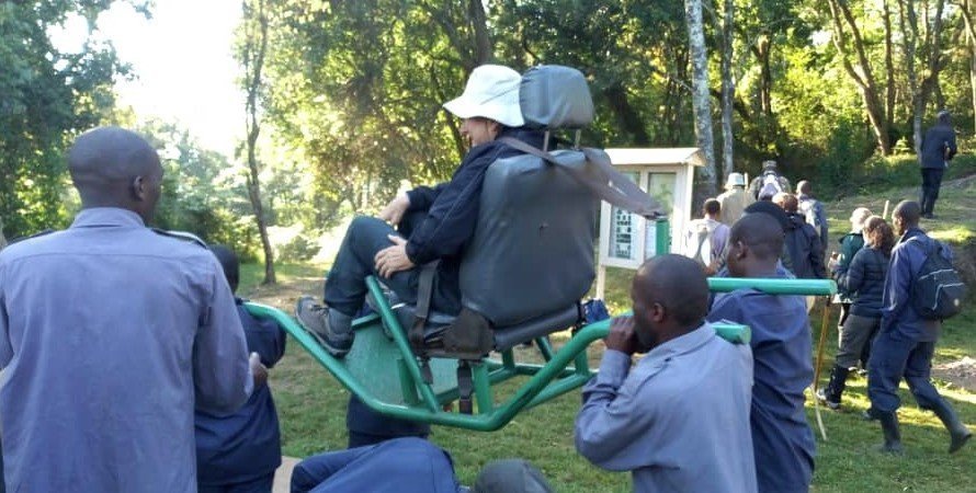 Gorilla trekking sedan chair booking — a sedan chair team on the Bwindi forest trail