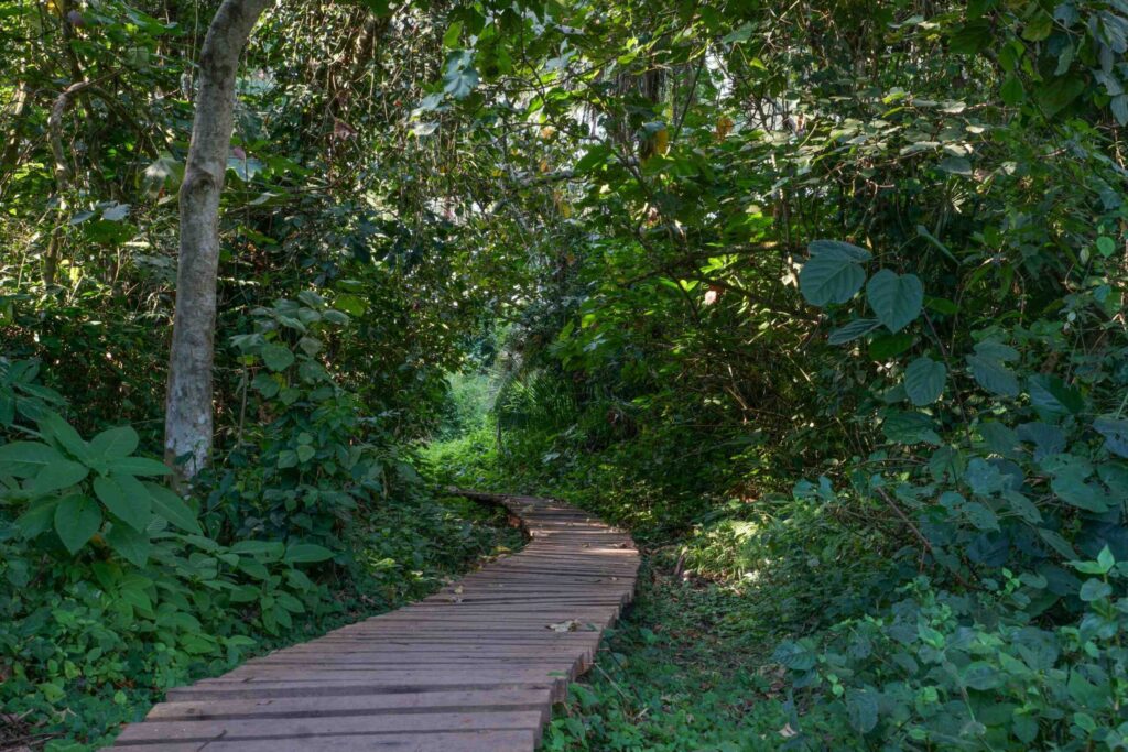 A family on the Bigodi Wetland Sanctuary walk near Kibale