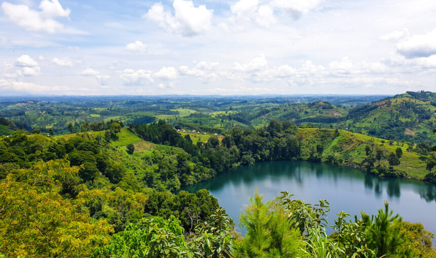 Kibale Forest Day Trip from Fort Portal: What to Expect