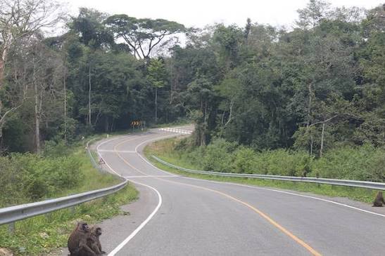 Vehicle on the road from Kibale to Queen Elizabeth National Park