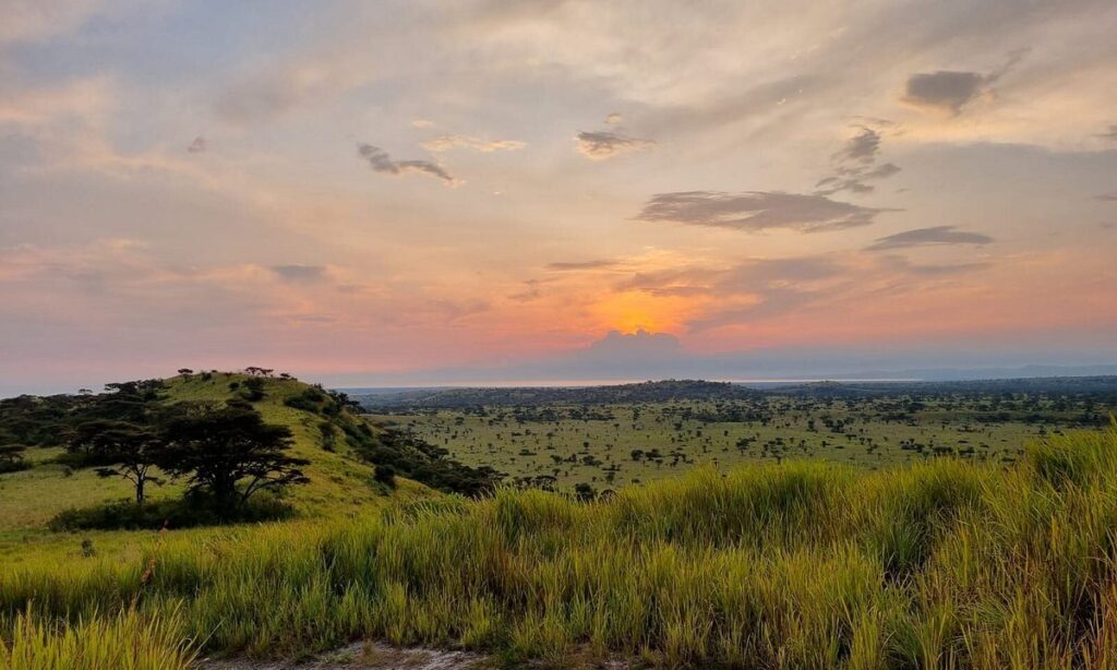 Sunset over the savannah at Lake Mburo National Park