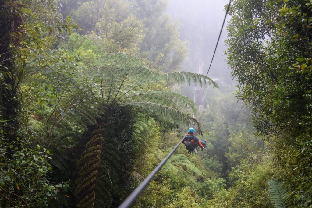 A zipliner crossing a canopy line in Mabira Forest near Jinja