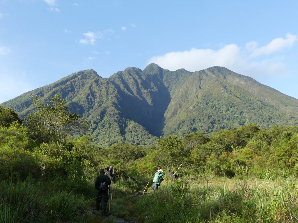 Trekker on the volcanic slopes of Mgahinga Gorilla National Park