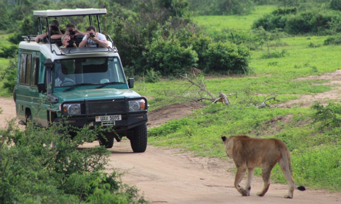 Game drive on the Buligi circuit in Murchison Falls National Park