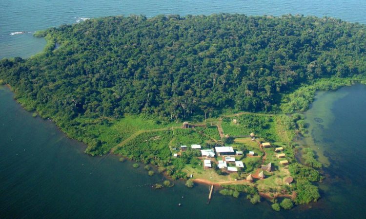 Ngamba Island chimpanzee sanctuary day trip — boat approaching Ngamba Island on Lake Victoria