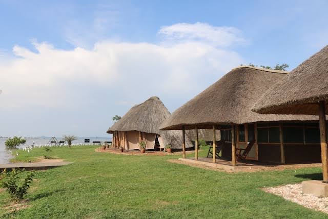 Ngamba Island overnight stay — guest accommodation on Ngamba Island at dusk