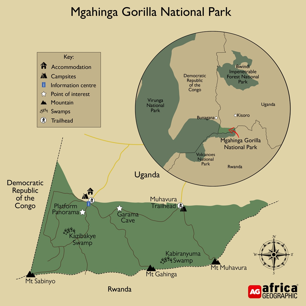 Nyakagezi Gorilla Family: Mgahinga's Border-Crossing Group 2 Map showing the Nyakagezi family's home range across the Virunga Volcanoes