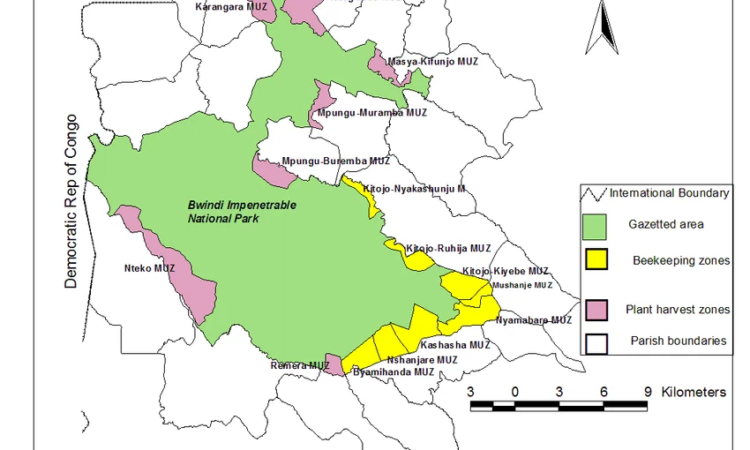 Map showing the Oruzogo family's home range within Ruhija sector, Bwindi