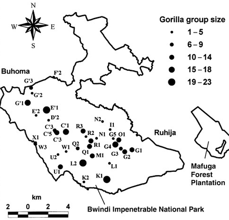 Map showing Ruhija's location on the eastern edge of Bwindi Impenetrable National Park