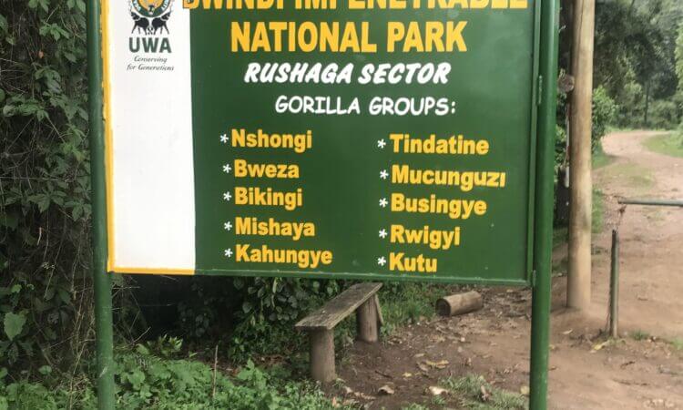 Trekkers at the Rushaga morning briefing before gorilla family allocation