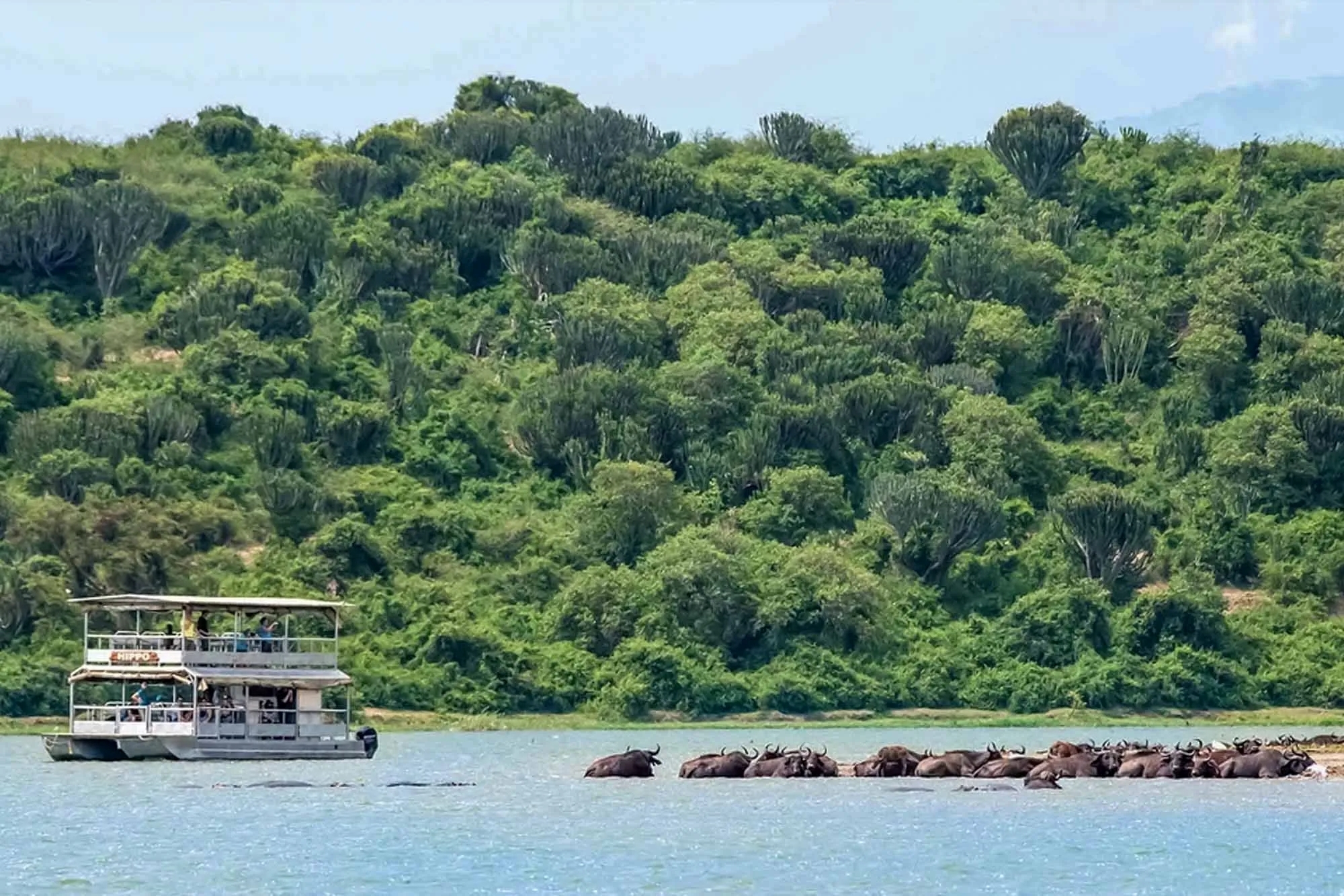 Kazinga Channel boat safari in Queen Elizabeth National Park on a Uganda safari from Denmark