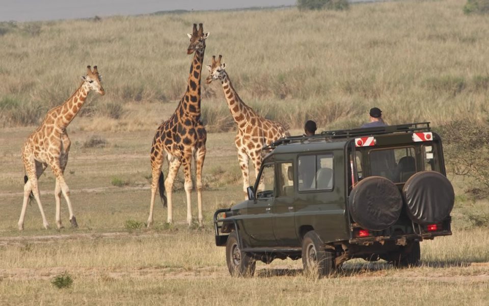 Akagera safari cost and activities