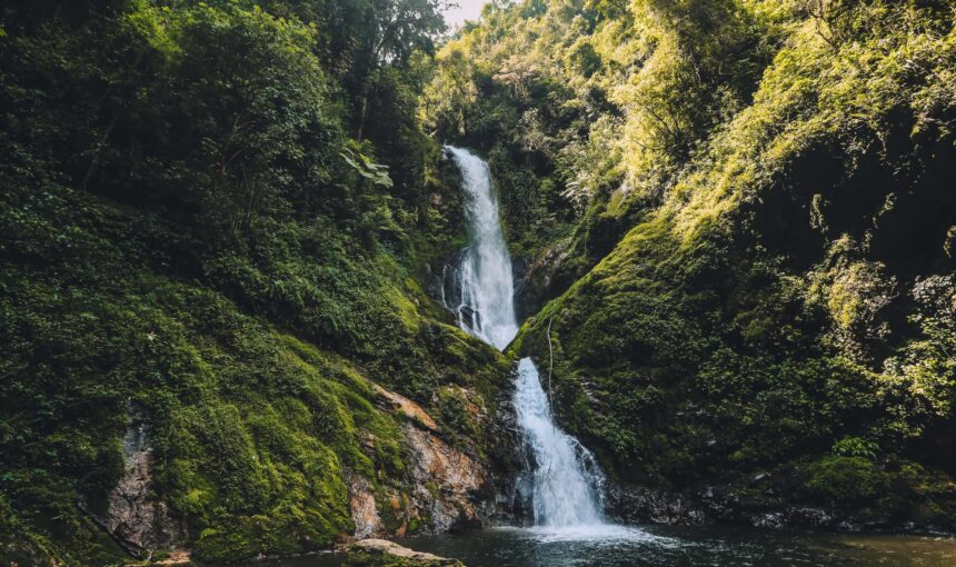 Kigali to Nyungwe Forest Travel Guide
