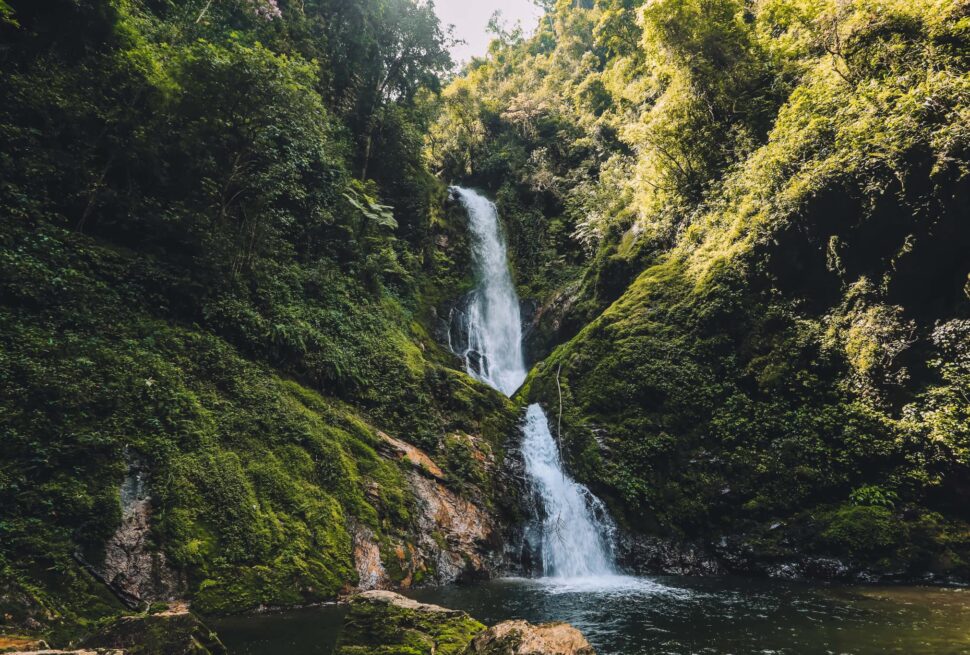 Kigali to Nyungwe Forest travel guide