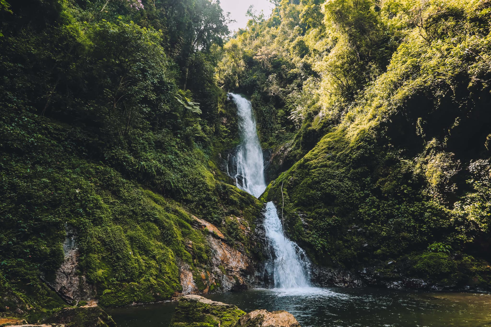 Kigali to Nyungwe Forest travel guide
