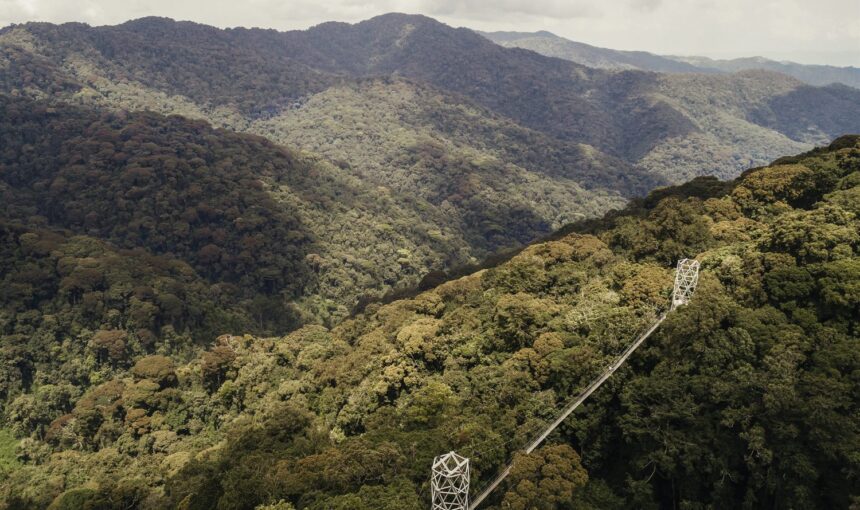 Nyungwe Forest Canopy Walk Guide