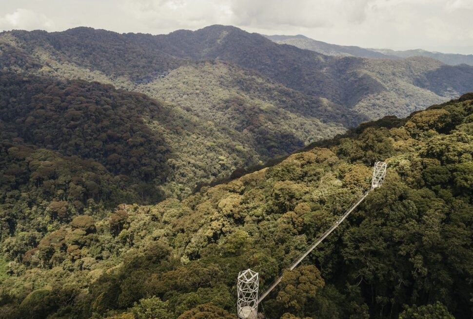 Nyungwe Forest Canopy Walk Guide
