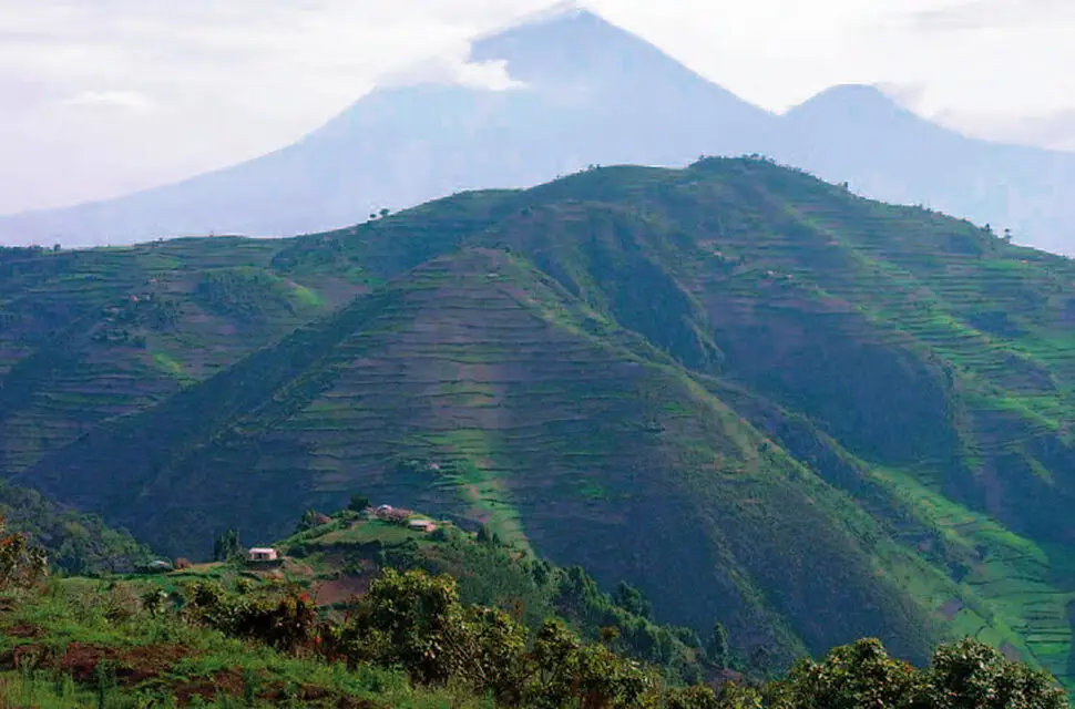Road to Bwindi Impenetrable National Park winding through the Kigezi Highlands of south-western Uganda