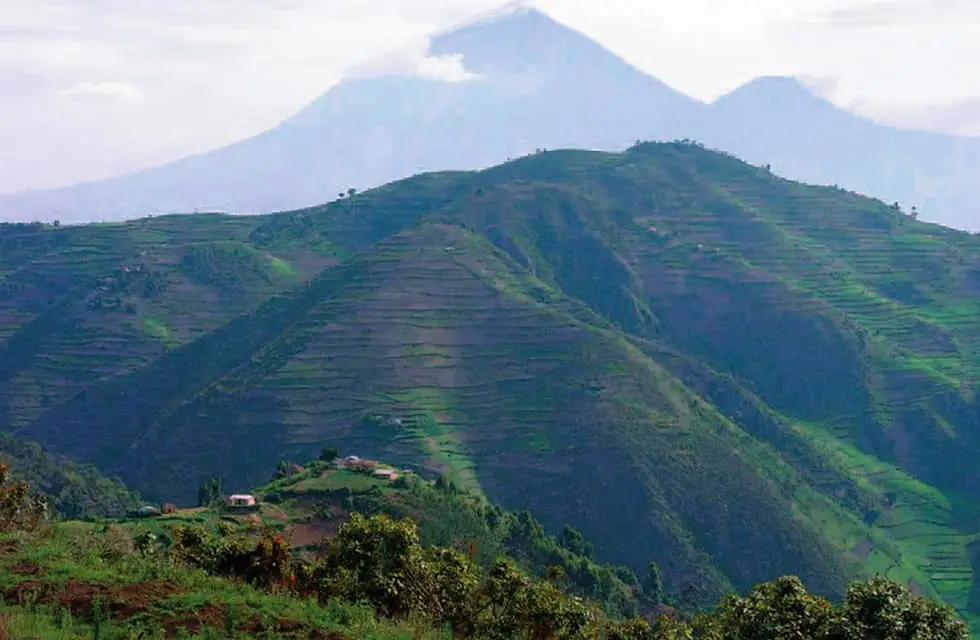 Road to Bwindi Impenetrable National Park winding through the Kigezi Highlands of south-western Uganda