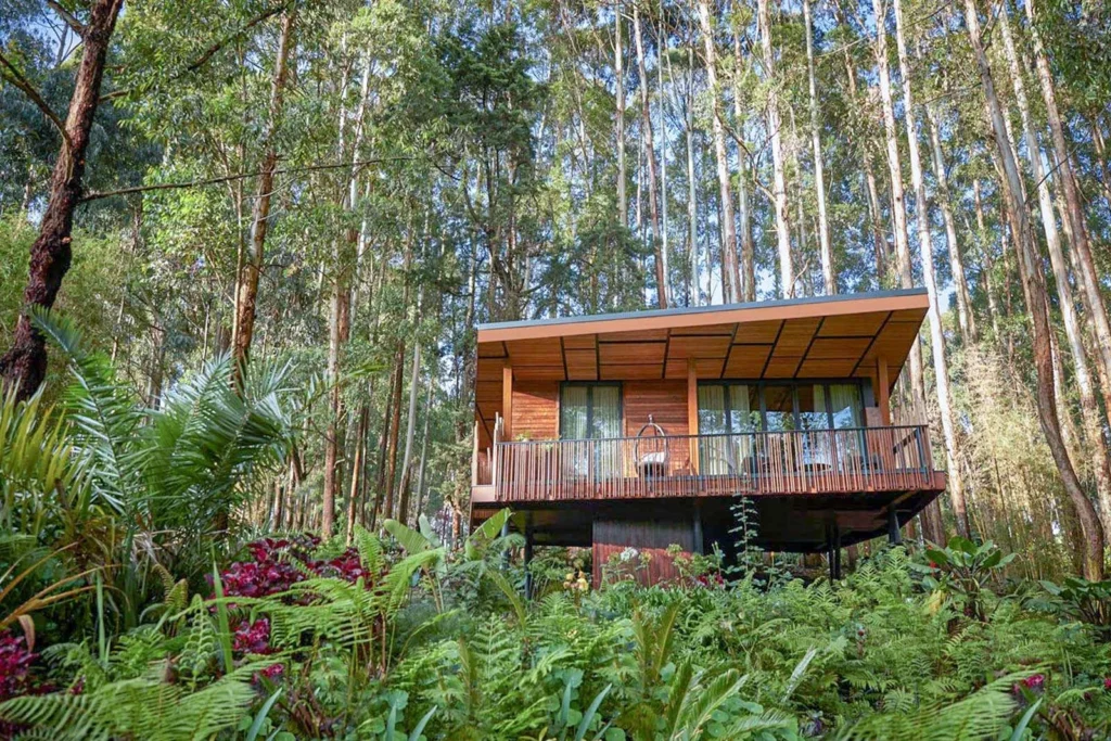 Rwanda luxury safari itinerary