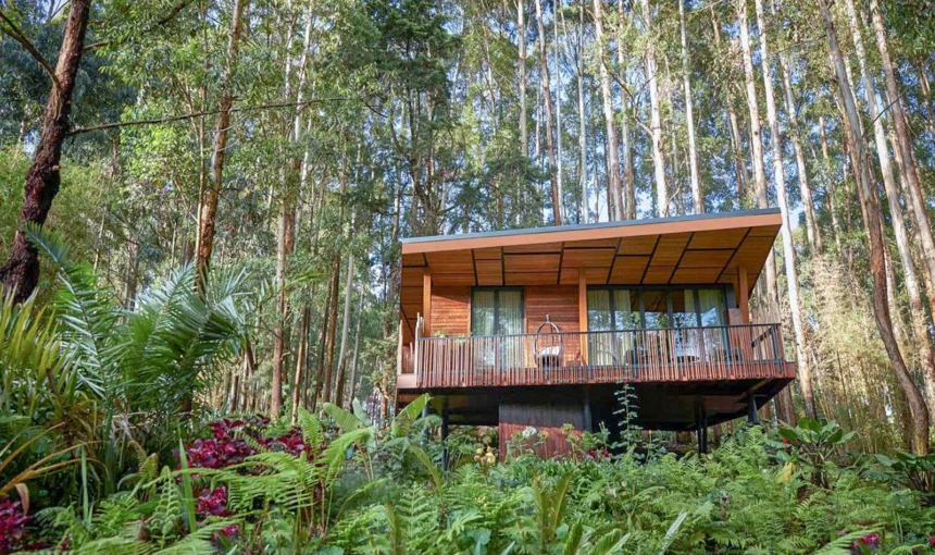 A Rwanda luxury safari itinerary