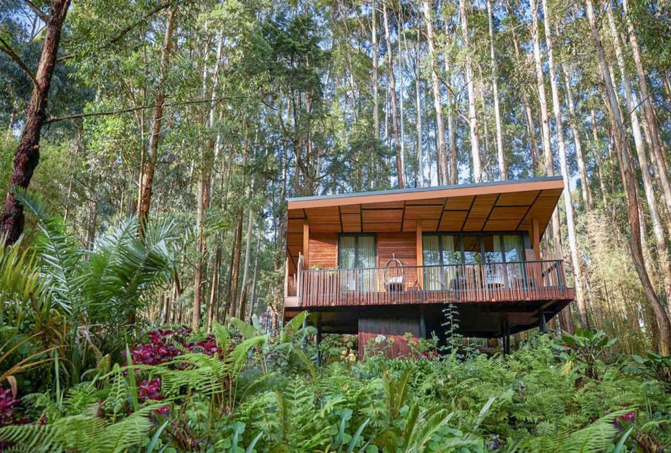 Rwanda luxury safari itinerary