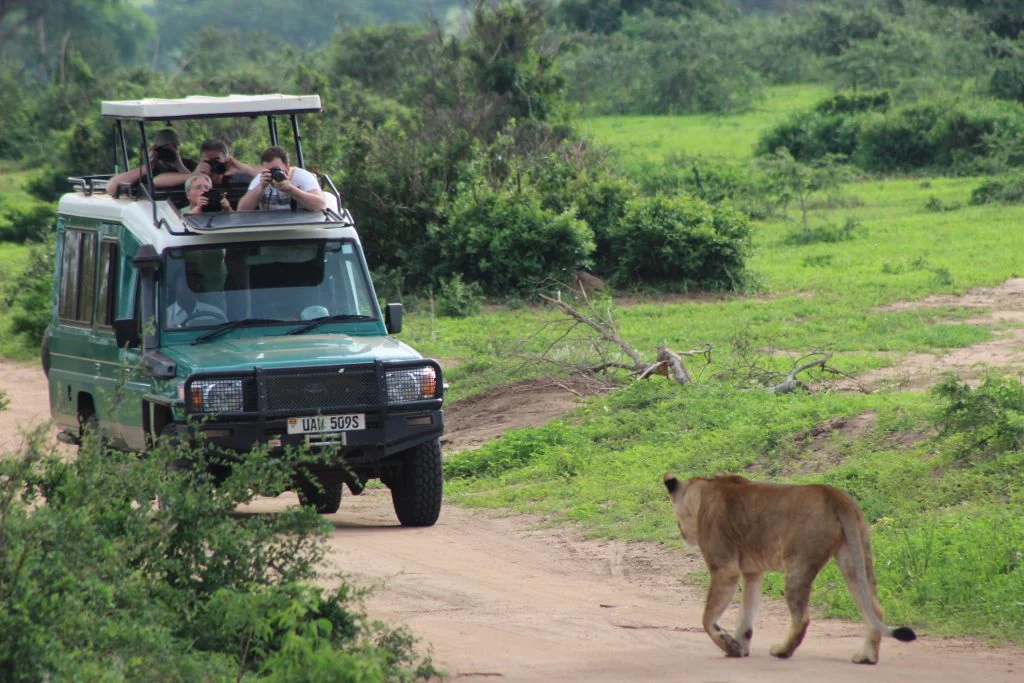 A safari vehicle on a game drive in the Ishasha sector