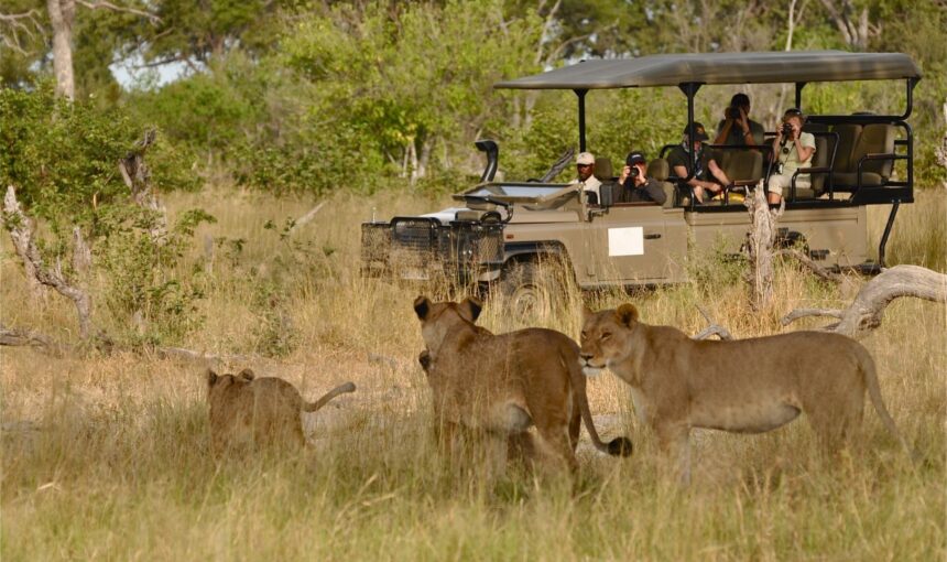 Murchison Falls Buligi Circuit Game Drive: What to Expect