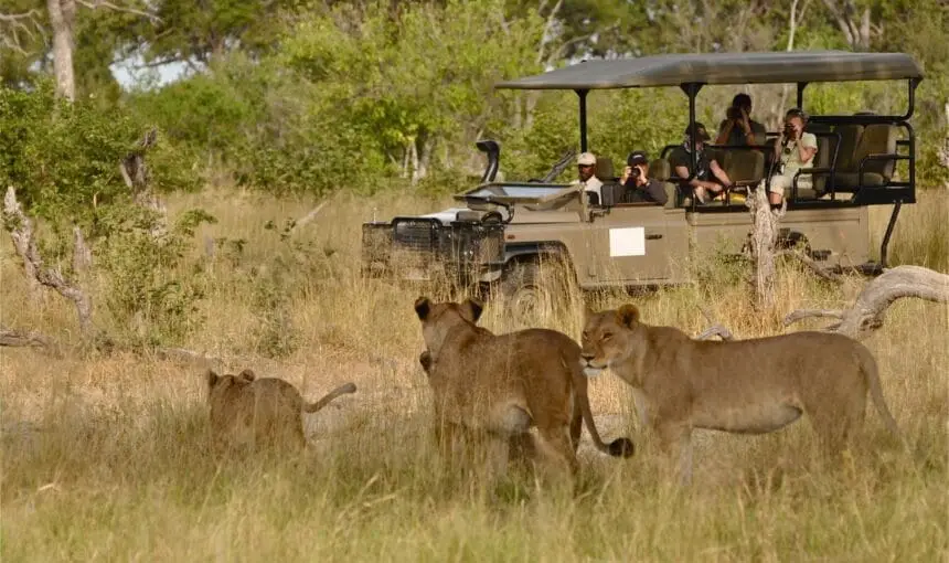Murchison Falls Buligi Circuit Game Drive: What to Expect